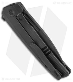 WE Knife Co. Speedster Frame Lock Knife Black Titanium (3.5" Black SW) 21021B-2 -We Knife Co Shop WE Knife Co Speedster FL Black Ti Black SW BHQ 144131 jr side