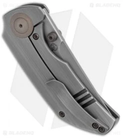 WE Knife Co. Thug Frame Lock Knife Gray Titanium (2.6" Stonewash) 6 WE Knife Co. Thug Frame Lock Knife Gray Titanium (2.6" Stonewash) -We Knife Co Shop WE Knife Co Thug FL Gray Ti SW 2103B BHQ 120905 jr side